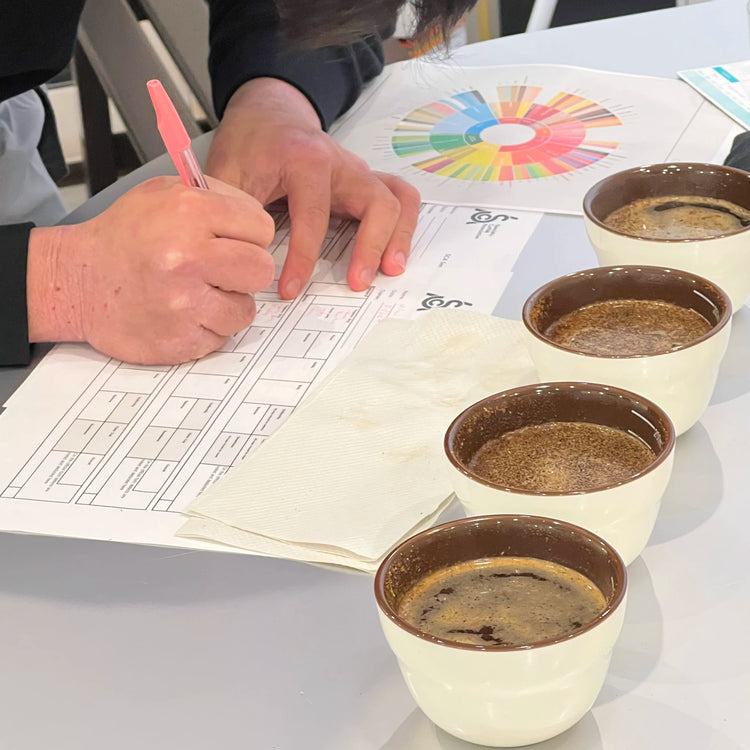 SCA CSP Sensory Skills Coffee Course