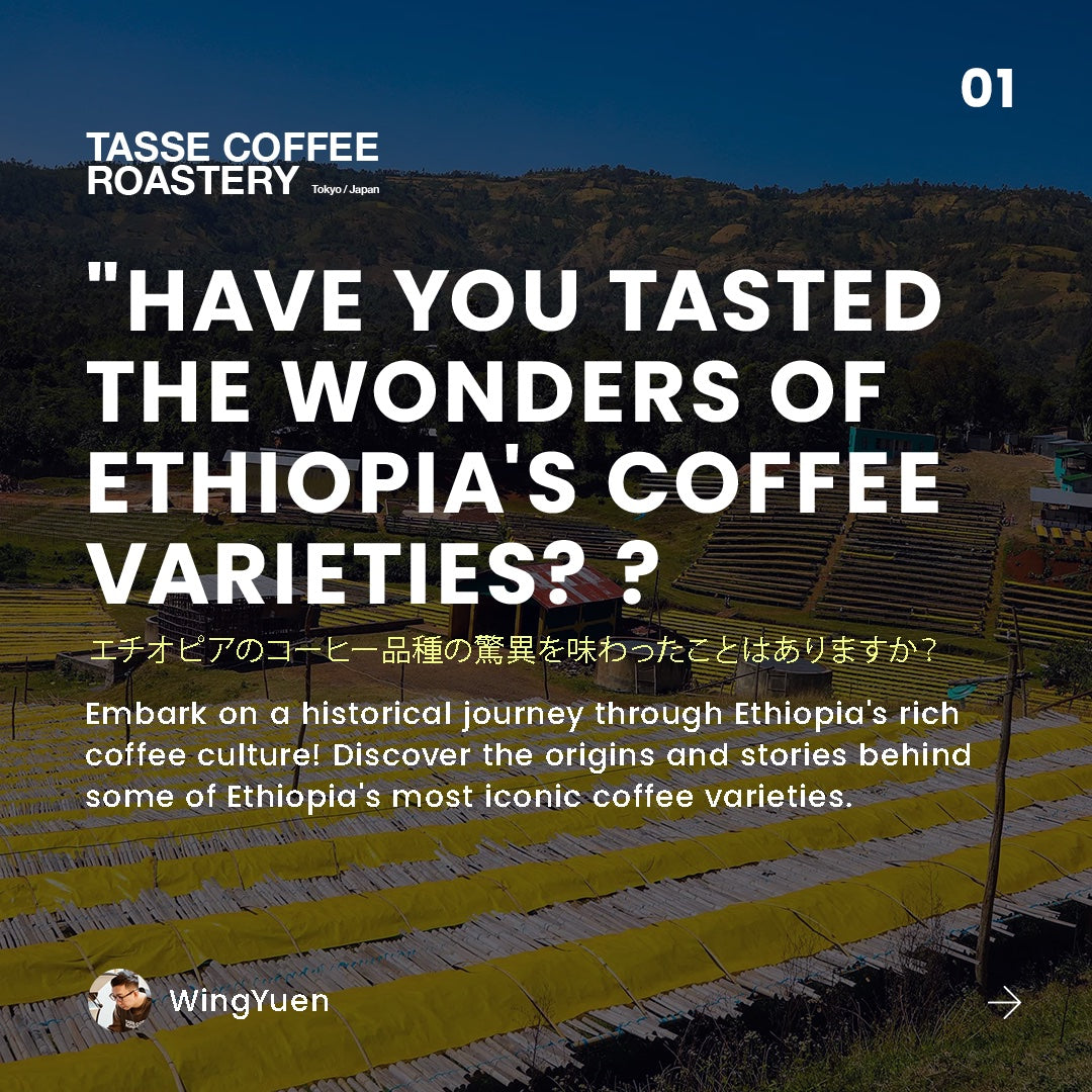 Exploring Ethiopia's Coffee Legacy: A Taste of Tradition at Tasse Coffee Roastery