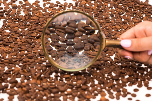 world’s best coffee beans