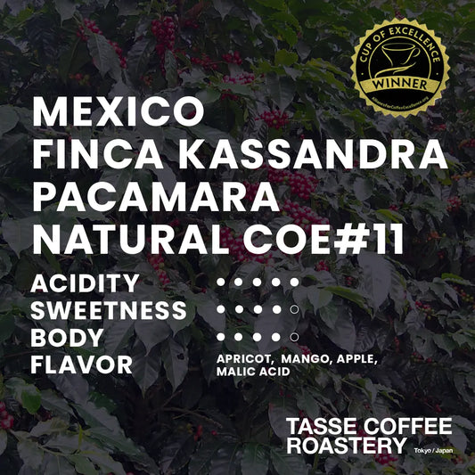 Mexico Finca Kassandra Pacamara Natural COE#11