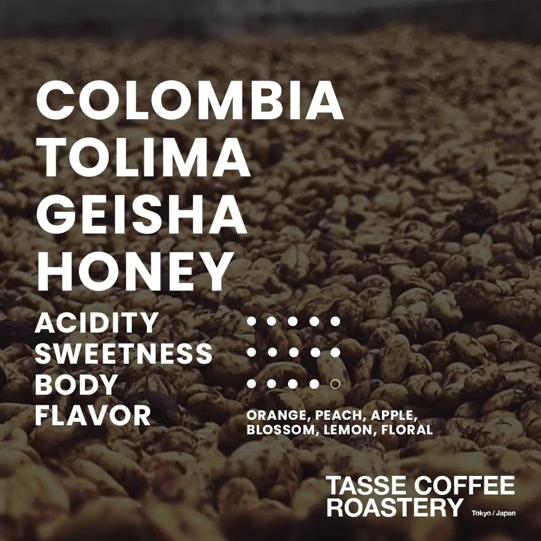 Colombia Tolima Geisha Honey (RS01)