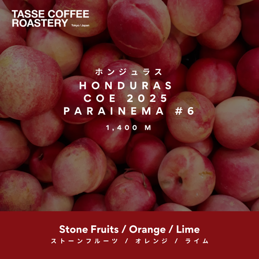 Honduras COE 2025 Parainema #6 — El Laurel (Washed)