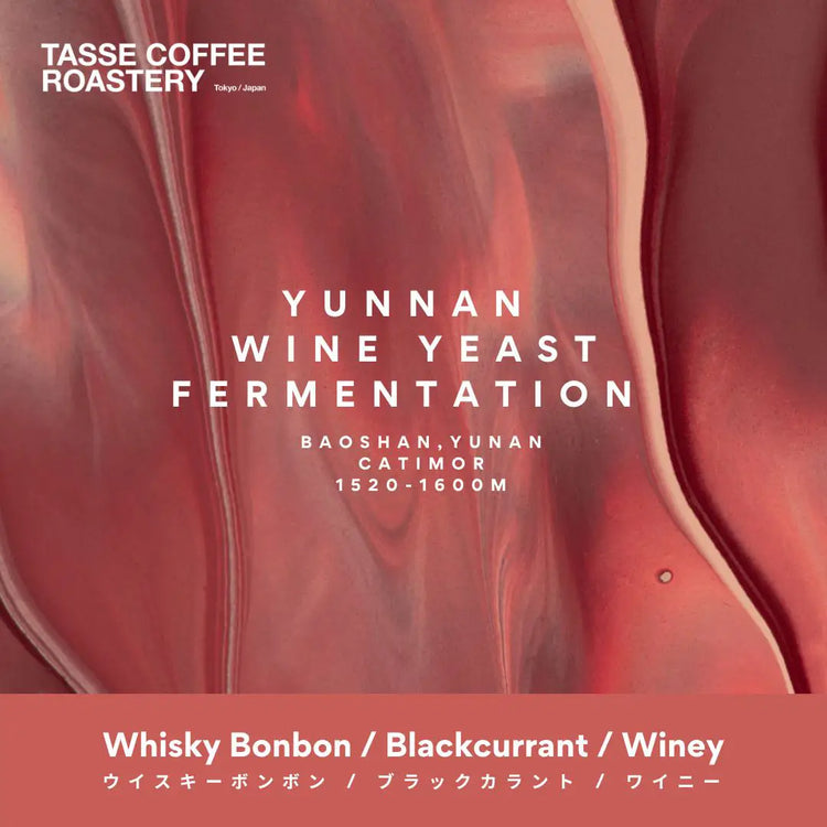 Yunnan Wine Yeast Fermentation