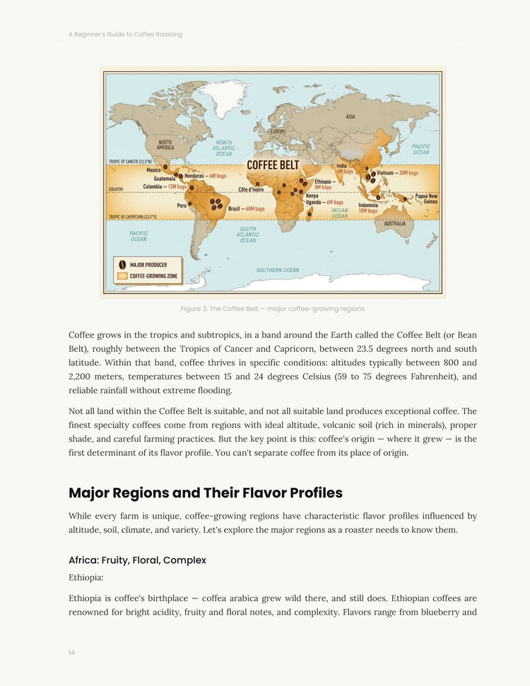The Roasting Bible — Book 1: A Beginner's Guide to Coffee Roasting (Digital version 170 pages)