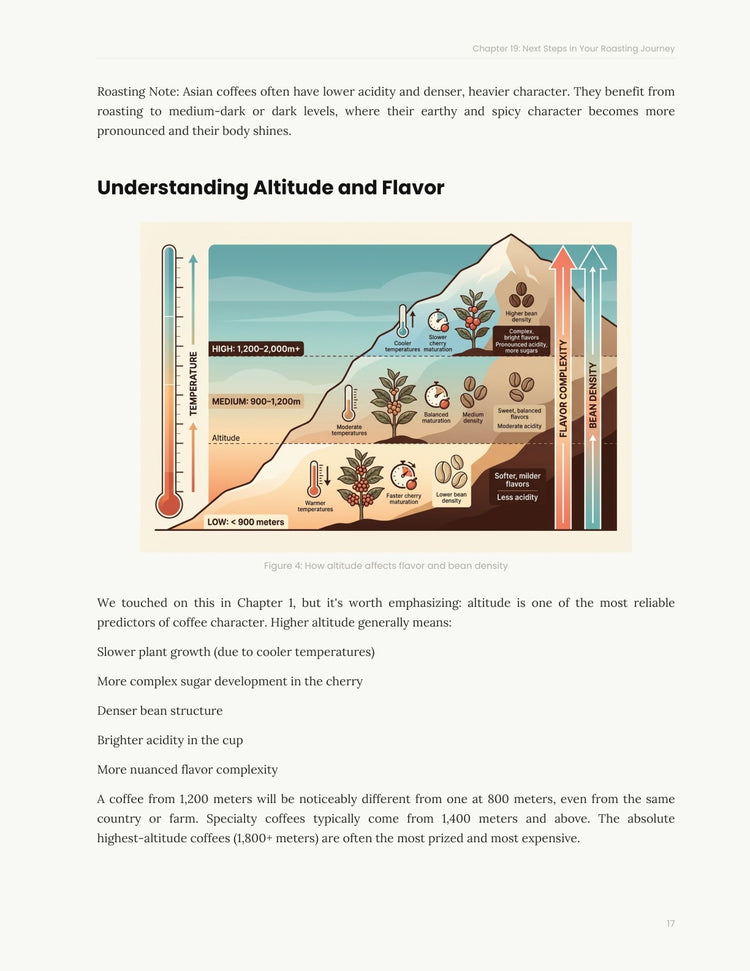 The Roasting Bible — Book 1: A Beginner's Guide to Coffee Roasting (Digital version 170 pages)