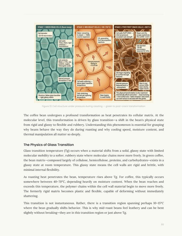 The Roasting Bible — Book 2: The Science of Coffee Roasting (Digital Version 259 pages)